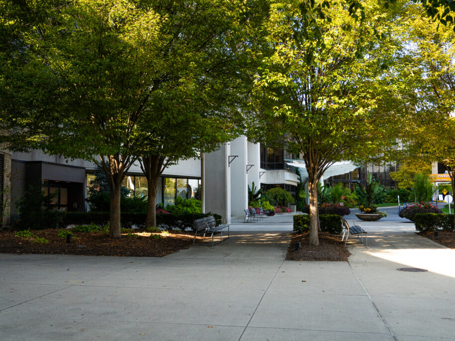 park